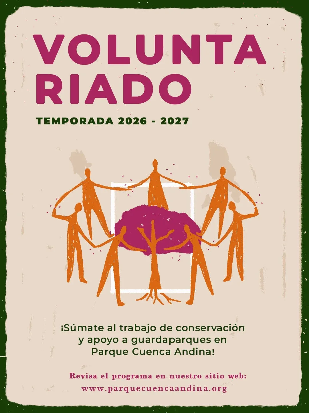 Programa de Voluntariado
